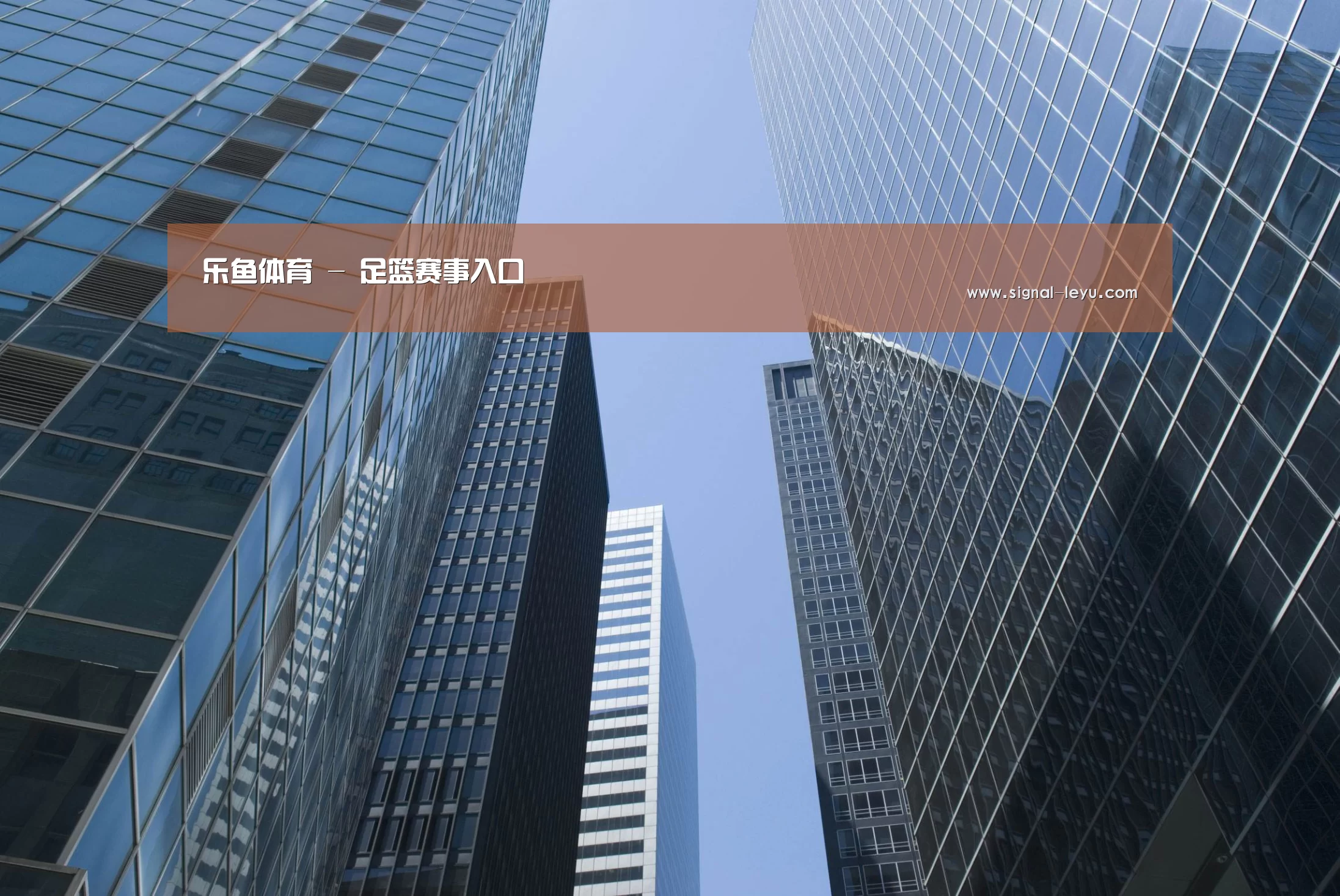 leyu公司简介 