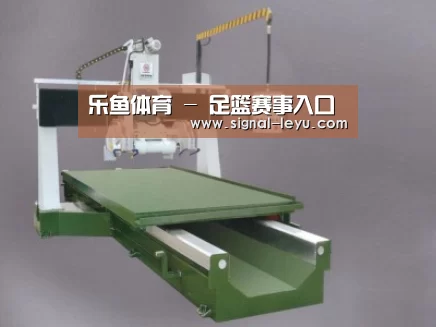产品名称十