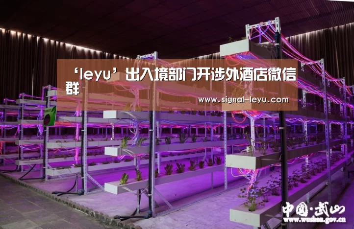 ‘leyu’出入境部门开涉外酒店微信群(图4) 乐鱼app手机版下载