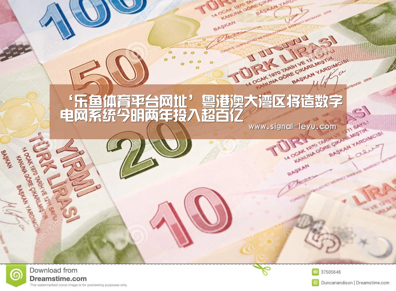 ‘乐鱼体育平台网址’粤港澳大湾区将造数字电网系统今明两年投入超百亿