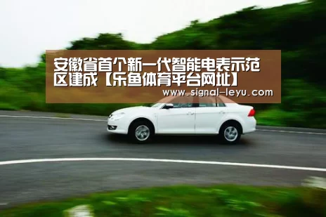 安徽省首个新一代智能电表示范区建成【乐鱼体育平台网址】(图2)